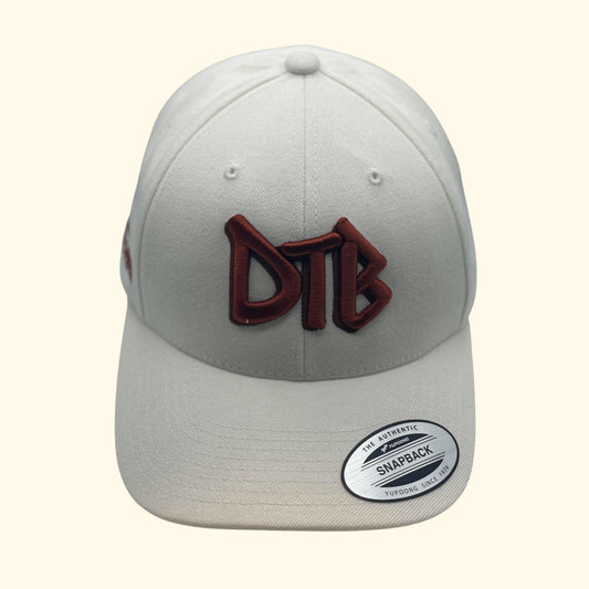 DTB Embroidered Badge Snapback Cap In White